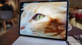 The Mini LED screen on Apple's new iPad Pro 2021 displaying a photo of a cat.