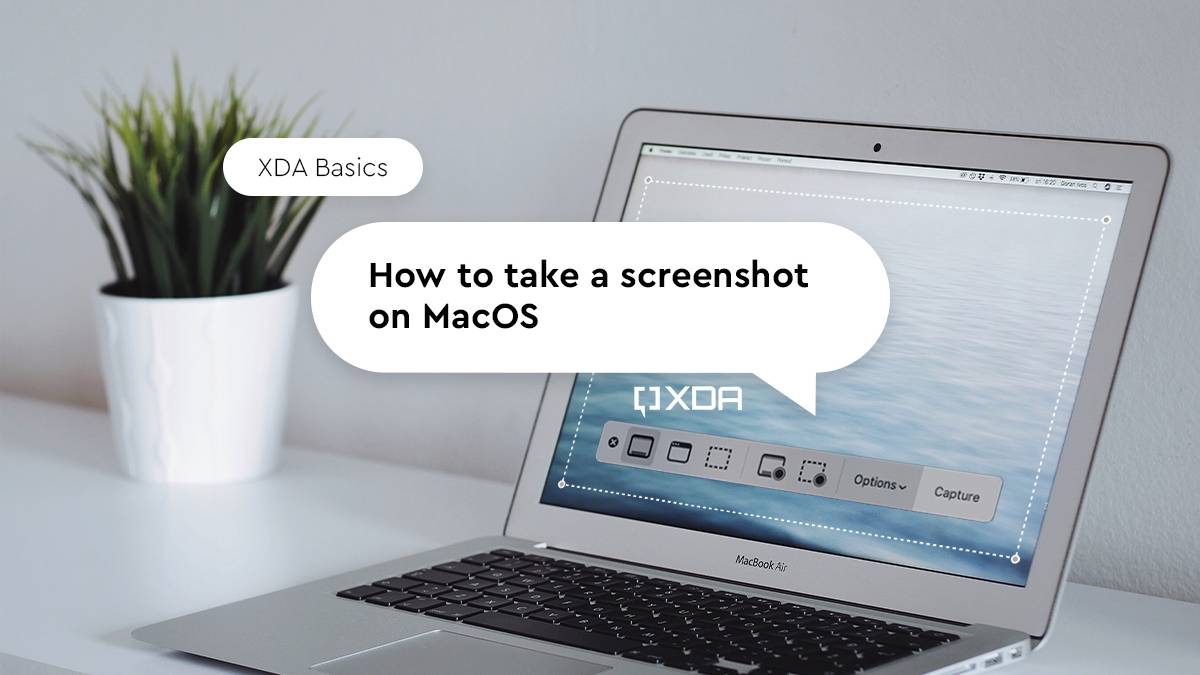 macbook on a white desk with a plant in the background