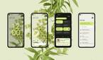 material you android 12 wallpaper theming