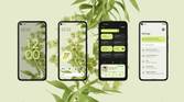 material you android 12 wallpaper theming