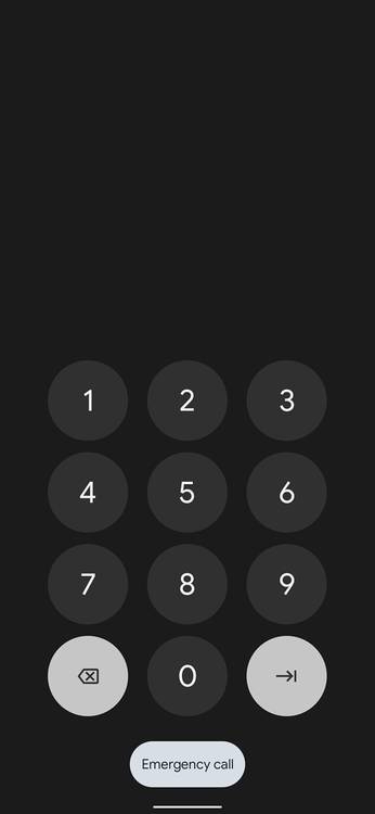 Android 12's new pin input