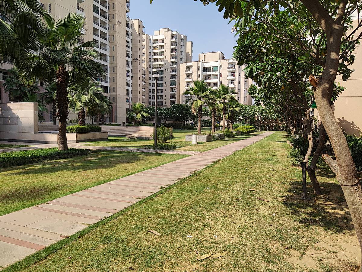 park with buildings captured using Xiaom MI 11X 12MP