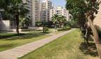 park with buildings captured using Xiaom MI 11X 12MP