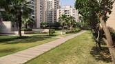 park with buildings captured using Xiaom MI 11X 12MP