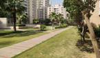 part with trees and buildings captured using Xiaomi MI 11X 48MP