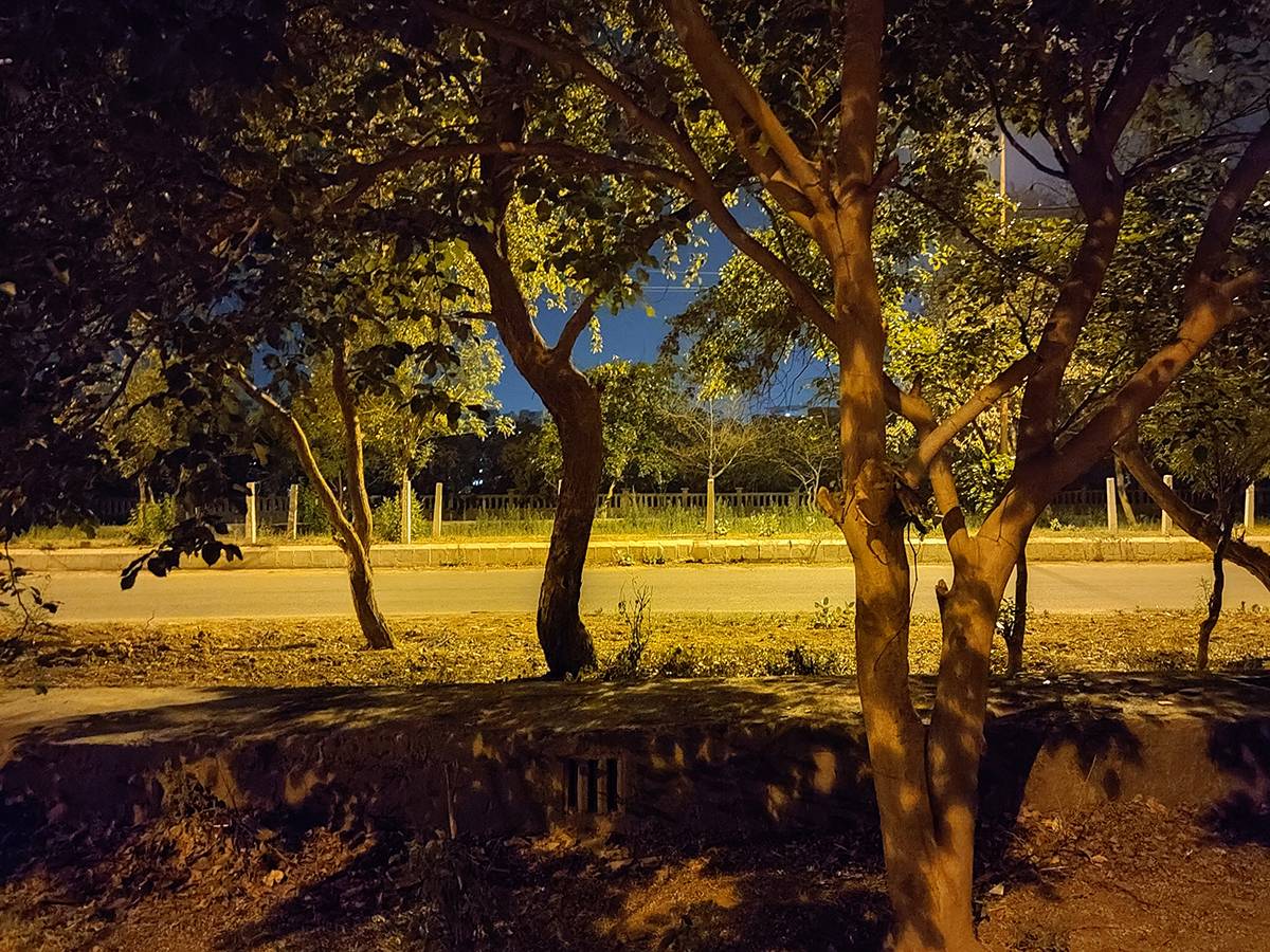 trees in dark captured using Xiaomi MI 11X night mode off