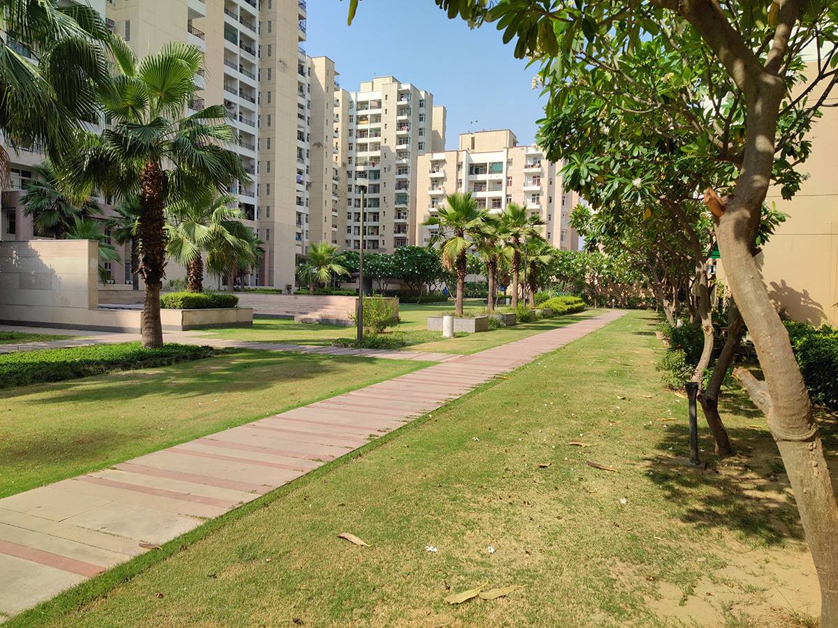 part with trees and buildings captured using Xiaomi Mi 11X Pro 108MP