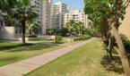 part with trees and buildings captured using Xiaomi Mi 11X Pro 108MP