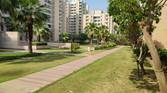 part with trees and buildings captured using Xiaomi Mi 11X Pro 108MP