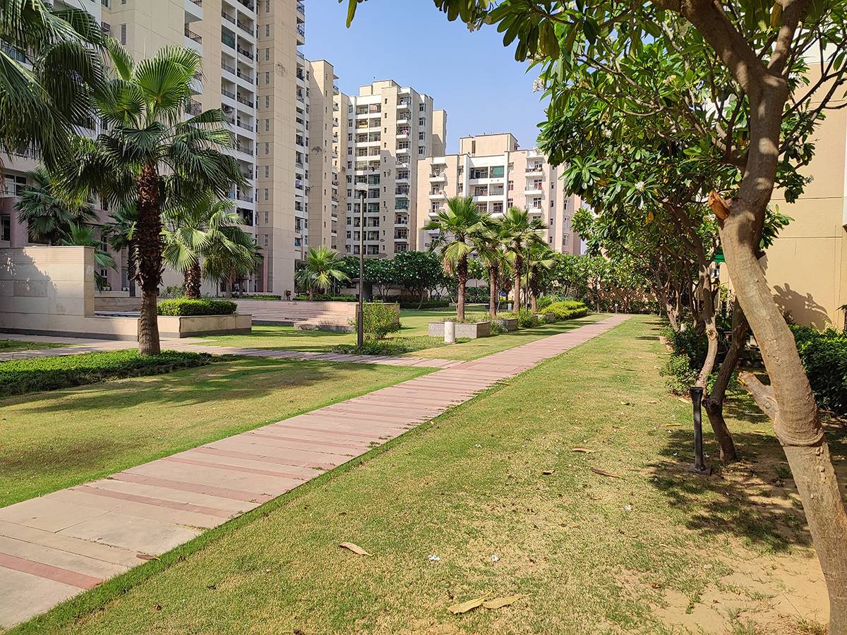 park with buildings captured using Xiaomi Mi 11X Pro 12MP