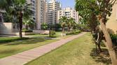 park with buildings captured using Xiaomi Mi 11X Pro 12MP