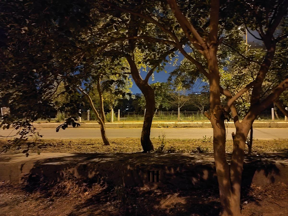 trees in dark captured using Xiaomi Mi 11X Pro Night mode off