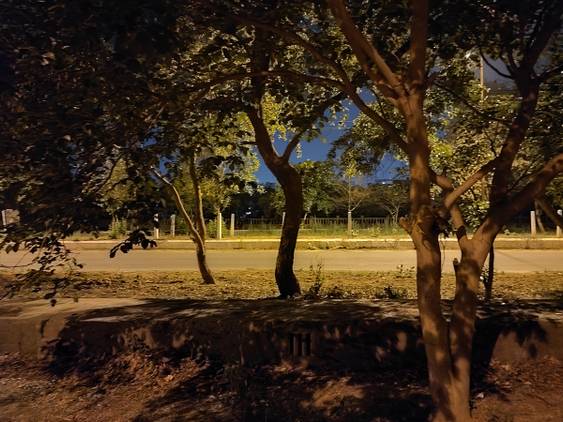 trees in dark captured using Xiaomi Mi 11X Pro Night mode off