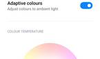 Xiaomi Mi 11X Pro display true tone