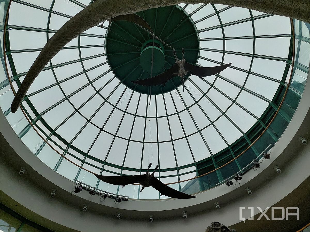 a dome