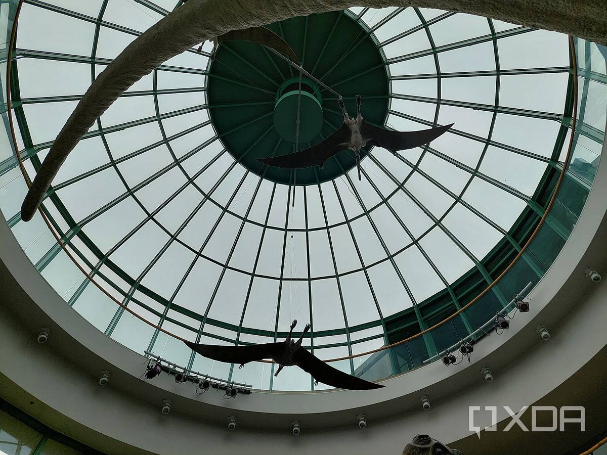 a dome