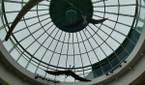 a dome