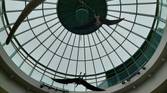 a dome