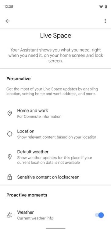 Google Assistant Live Space settings