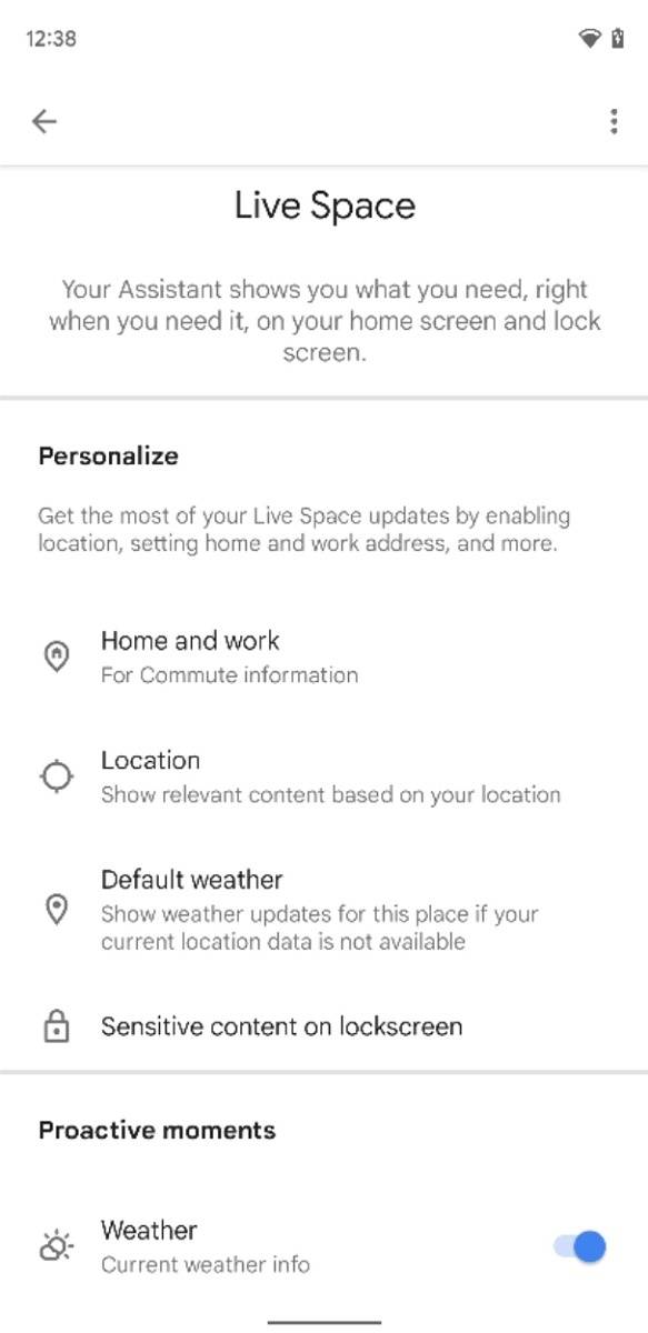 Google Assistant Live Space settings