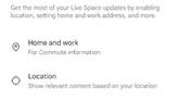 Google Assistant Live Space settings