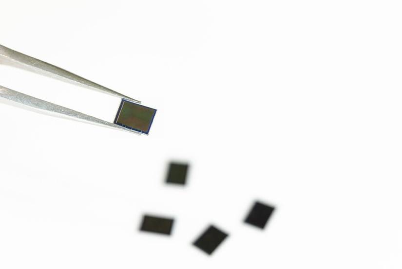 Samsung ISOCELL JN1 sensor held in tweezers on white background