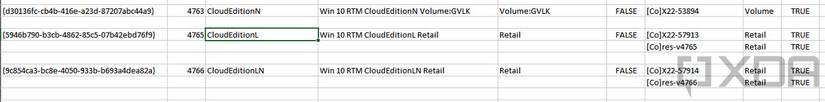 Windows 11 Cloud Edition L