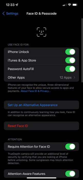 Face Unlock Options