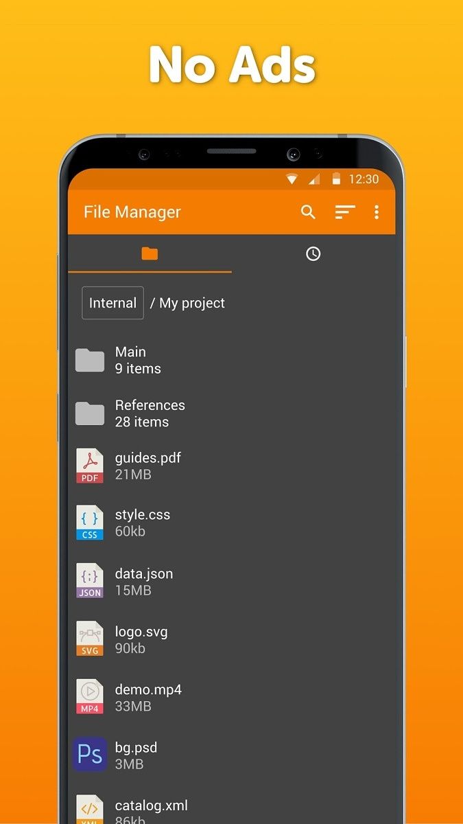 Simple File Manager Pro