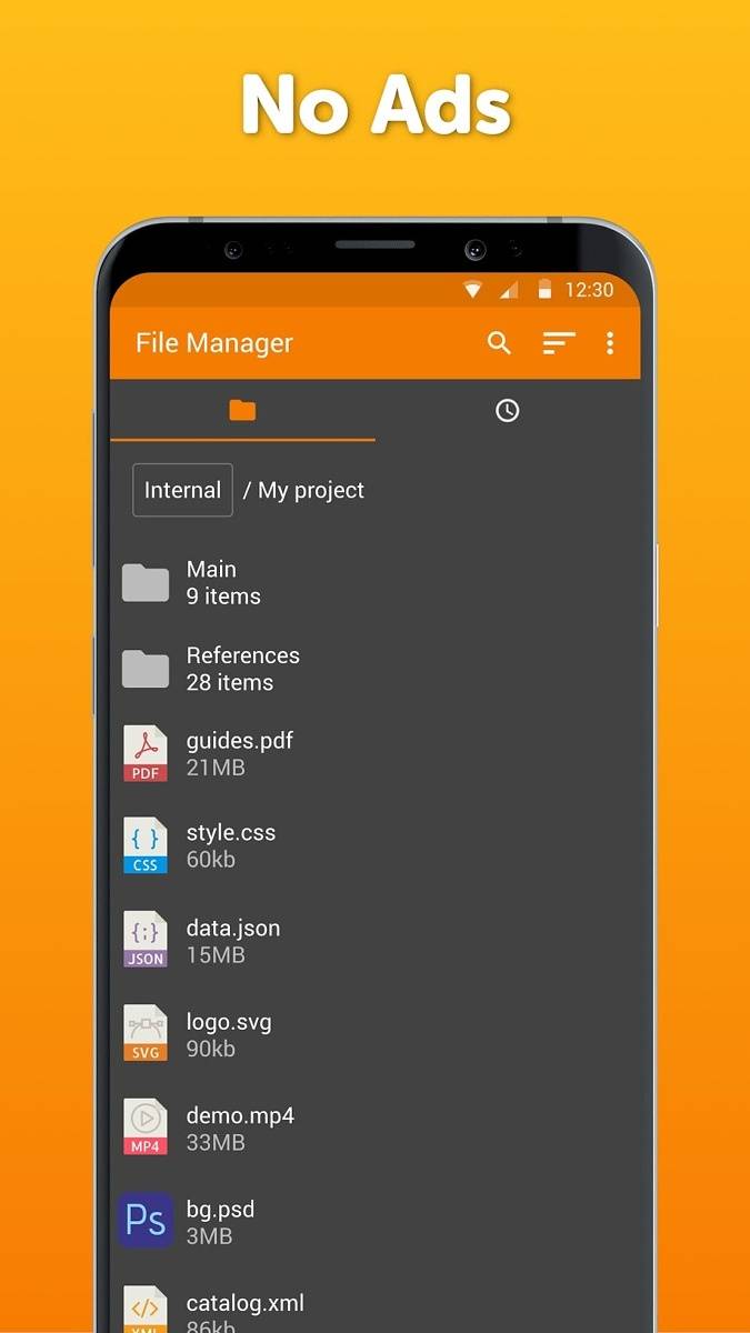 Simple File Manager Pro