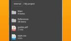 Simple File Manager Pro