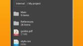 Simple File Manager Pro