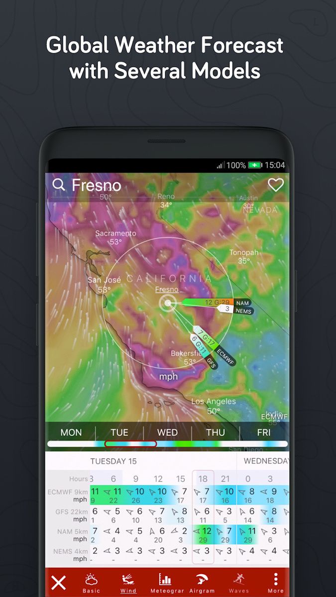 Windy Forecast