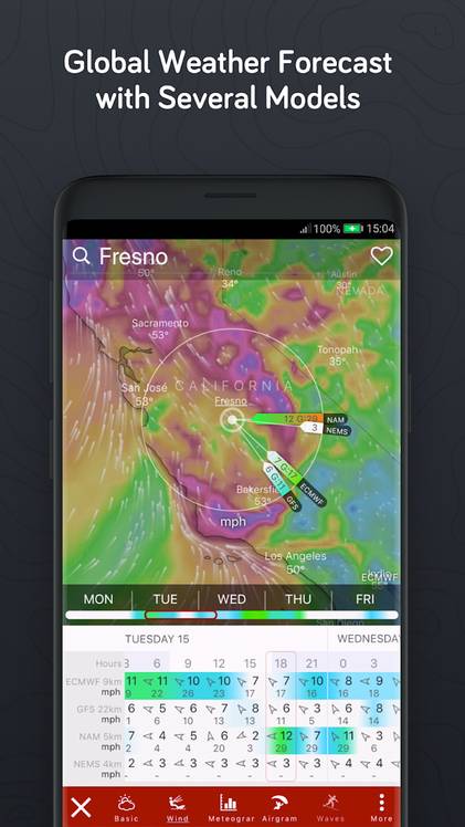 Windy Forecast