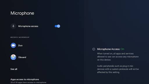 Android 12 for Android TV microphone and camera toggle
