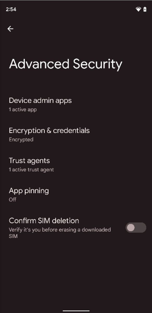 Advanced Security settings in Android 12