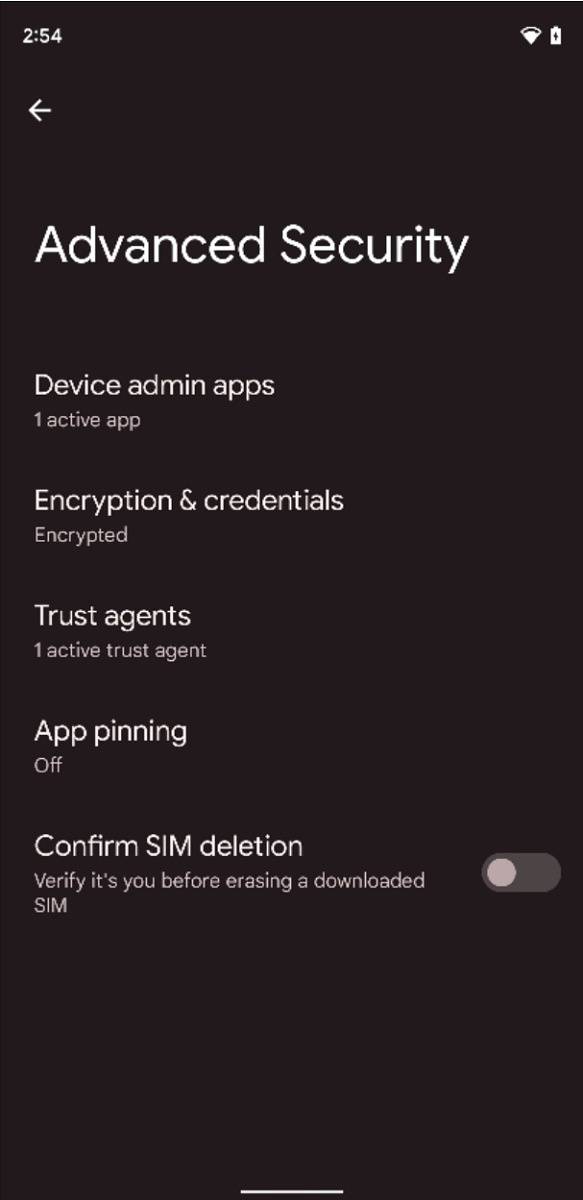 Advanced Security settings in Android 12