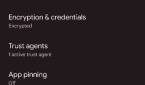 Advanced Security settings in Android 12