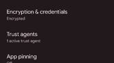 Advanced Security settings in Android 12