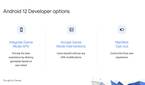 Developer options for adapting Game Mode API