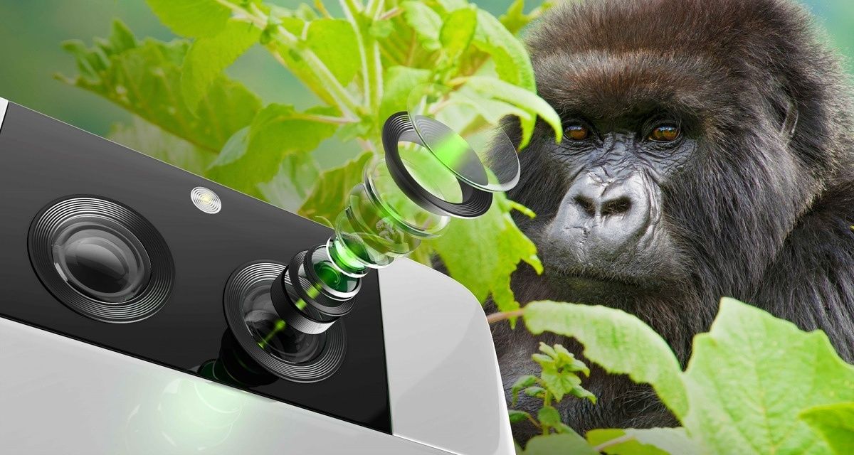 Corning Gorilla Glass DX