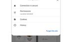 Google Chrome site controls