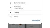 Google Chrome site controls