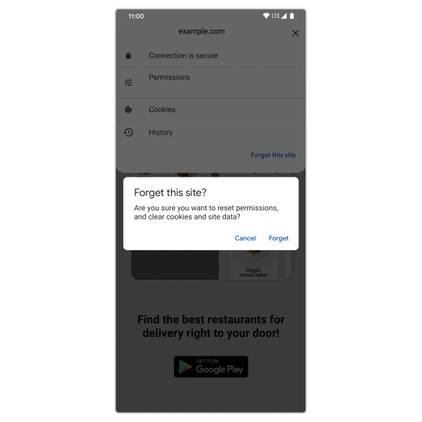 Google Chrome delete site from history