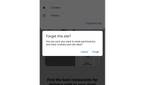 Google Chrome delete site from history