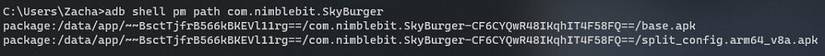 An image showing the results of retrieving the APK paths for an installed package