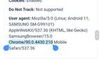 Samsung Internet engine info