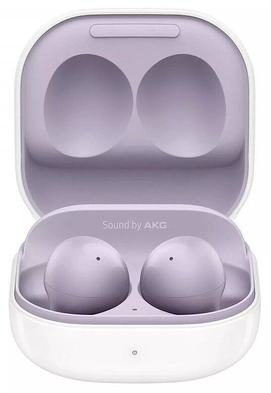 Galaxy Buds 2 Case