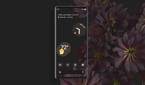 Google Pixel 6 Pro with Material You theming on Android 12