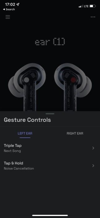 Gesture Controls